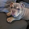 rosie_bearrrr