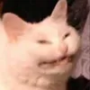 demonbonee