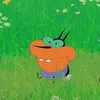 chaidaccaicutuicutui