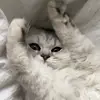 spozastrefy