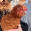 barefootandconfused