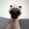 lalallalallla5