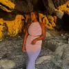 niraysha