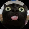 kittyk4ta