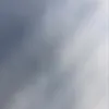 ollexh