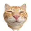 sigmagurlat3am