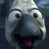 shackzycb