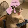 giuliariccioppo