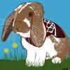 cleverbunnyofficial