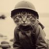 whosroy1942