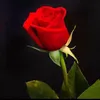 Naz_70❤️🌹