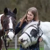 iisadele