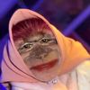 kang_parabott