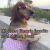 fercha098654