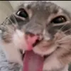 jagiyah____