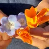 cassandraross12506