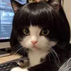 ayadekittv