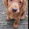 montyponty13