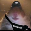 roxyhelmers323
