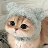 agrycat