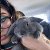 Sadaf.bunmum