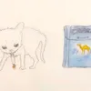 wollywonders