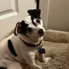 steviegrace78