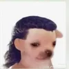 elsprite5
