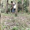 dasmerfriantotobi