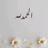 nadahamtany