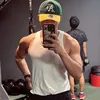 shanrockiin