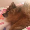 tillycorrick_12345