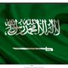 alimohammed81