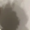 forkyy1