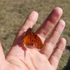analiacastillo