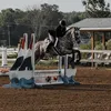 ridewithsarah.eq