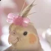 oprixd