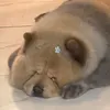 aleyaisagan