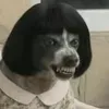 modorandomactivado2