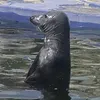 byenotfound1