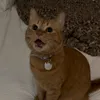 mxllvry
