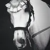 __fa65