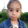 anissaeroglu