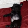 beebs4now