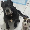 kuya.bunsoo