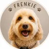 frenkiethedoodle