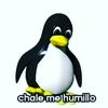 chale.m3.humillo