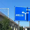Amelia