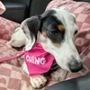 ching_themini