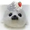 ribbonila